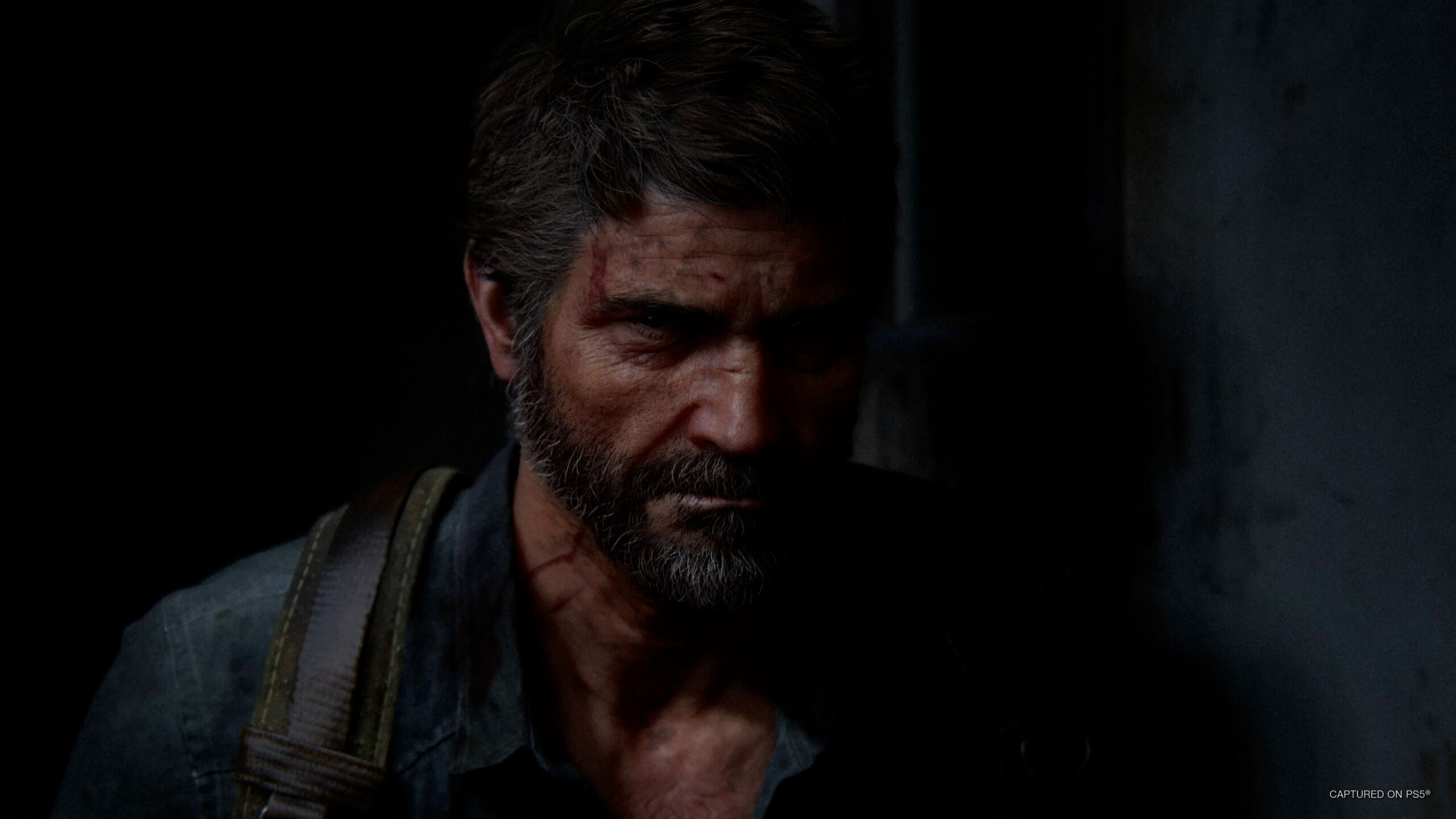 The Last Of Us 2 For PC: Release Date Estimation, News &…